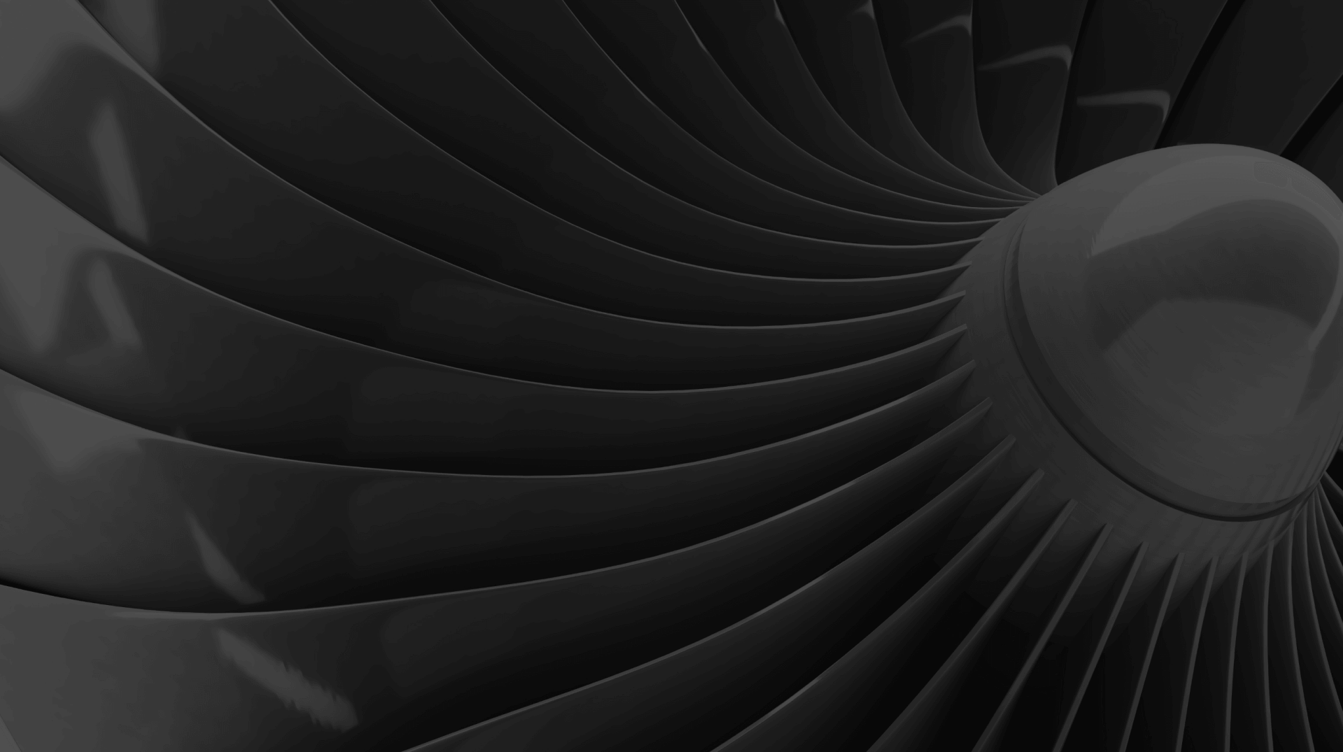 Направления деятельности