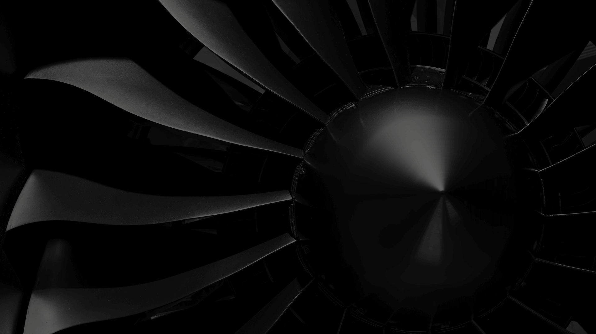 Направления деятельности