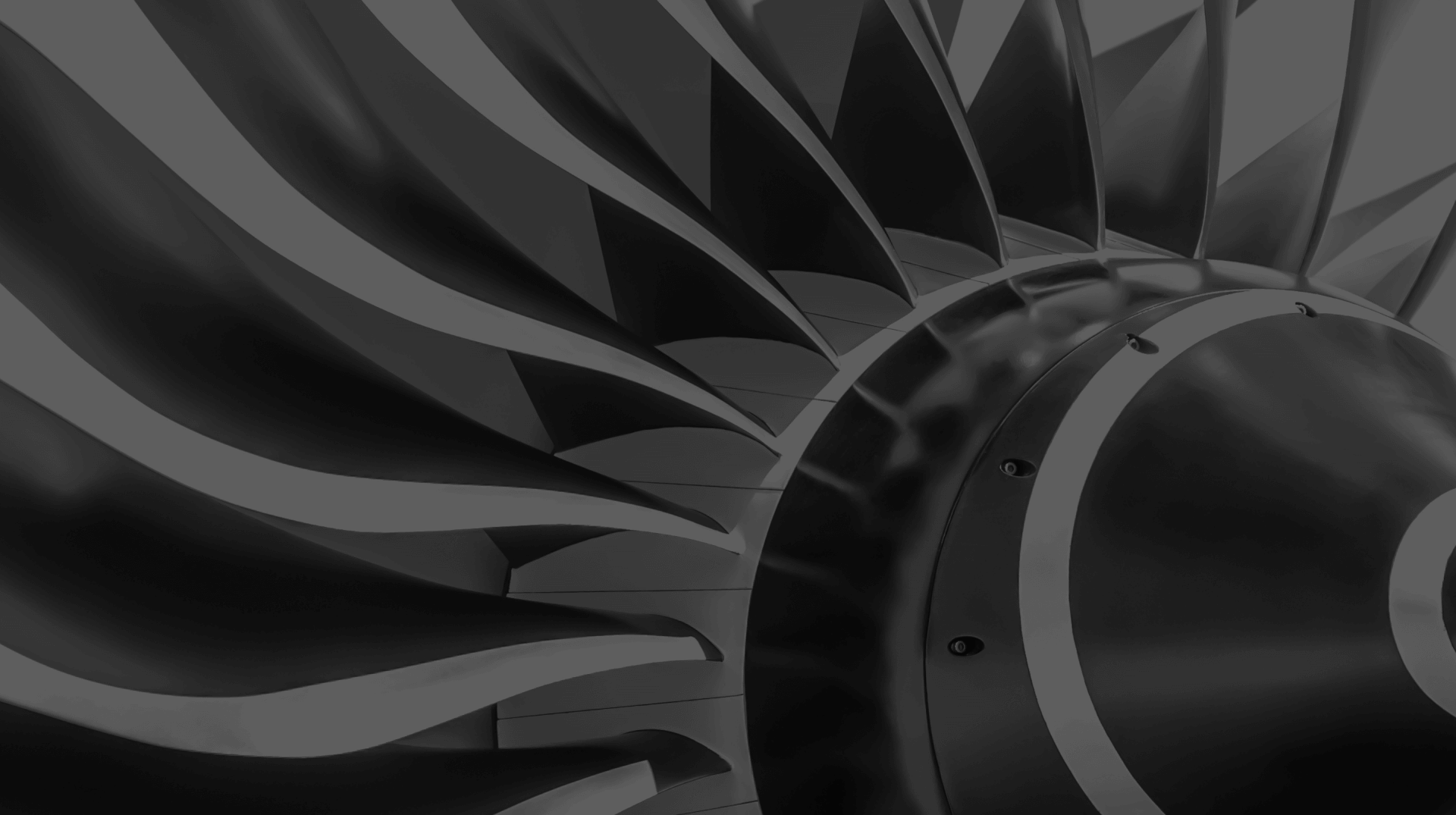 Направления деятельности